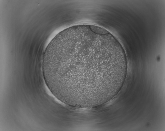 X0000116481390200912231121