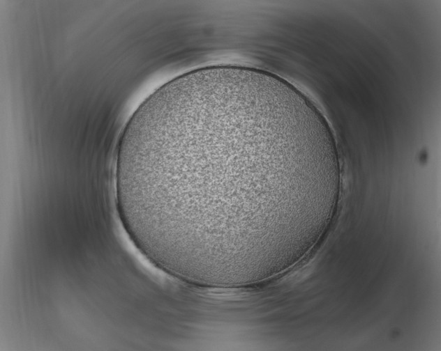 X0000116481391200912231121