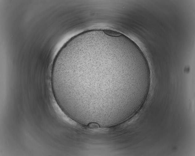 X0000116481392200912231121