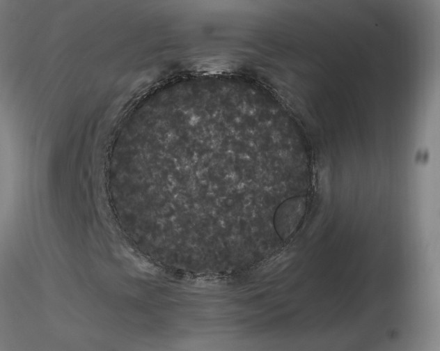 X0000116481393200912231121