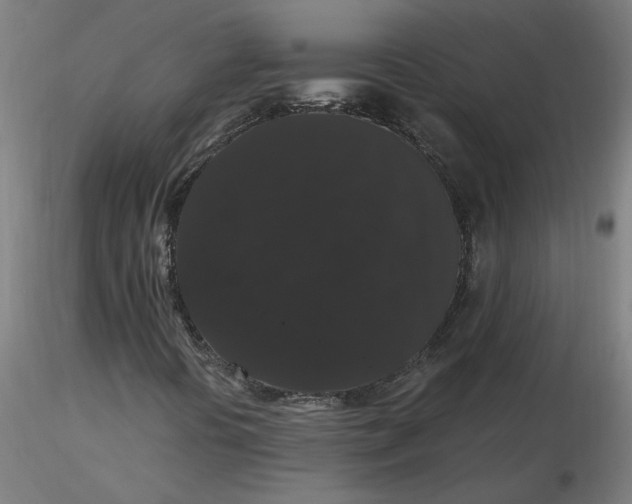 X0000116481394200912231121