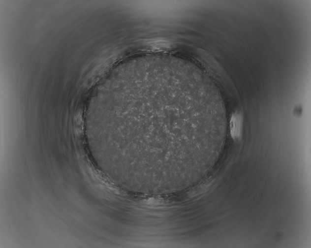 X0000116481395200912231121