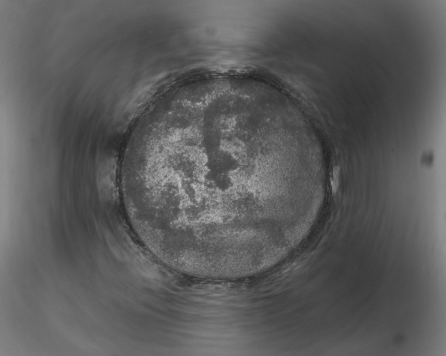 X0000116481396200912231121