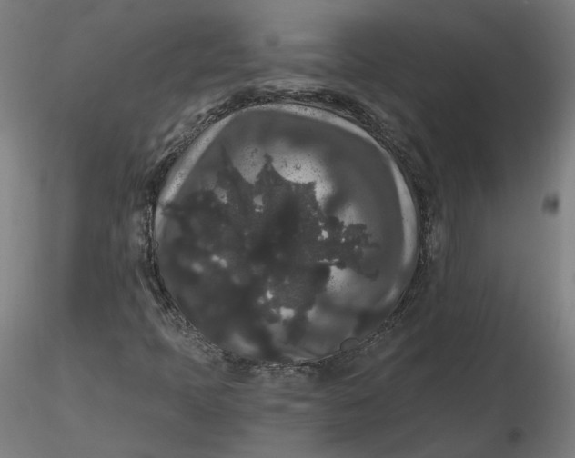 X0000116481397200912231121