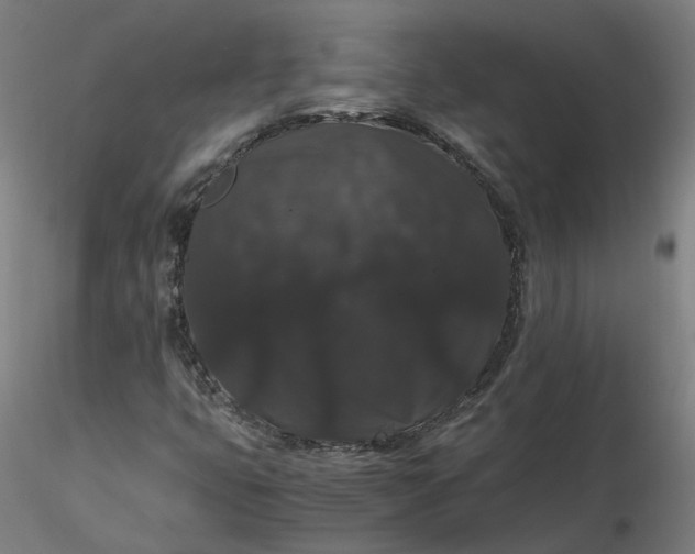 X0000116481399200912231121