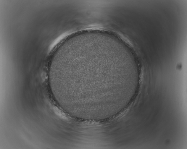 X0000116481400200912231121