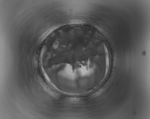 X0000116481401200912231121