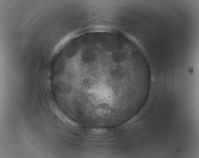 X0000116481403200912231121