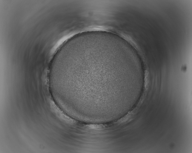 X0000116481404200912231121