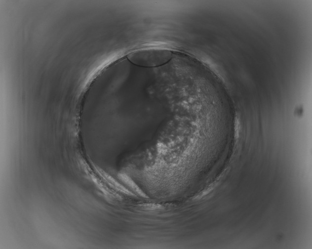 X0000116481405200912231121