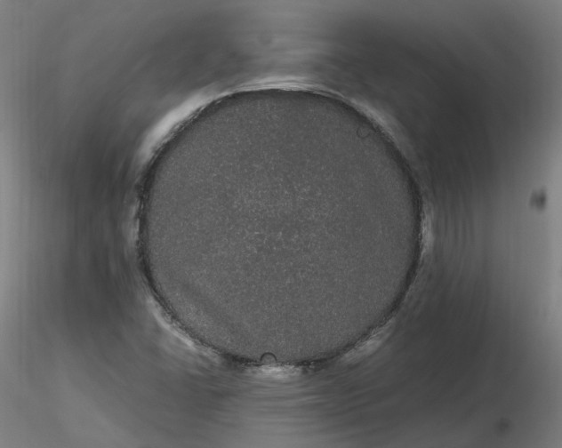 X0000116481406200912231121