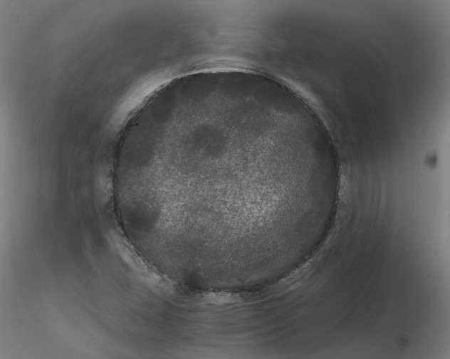 X0000116481407200912231121