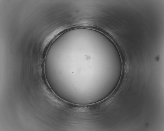 X0000116481410200912231121