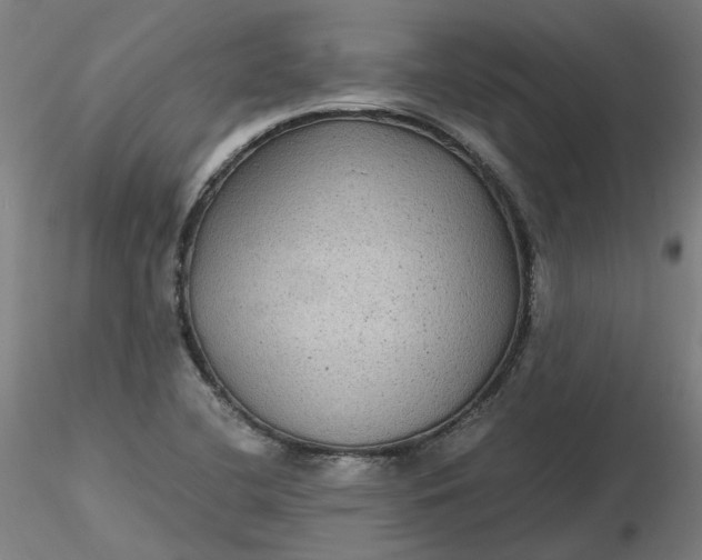 X0000116481412200912231121