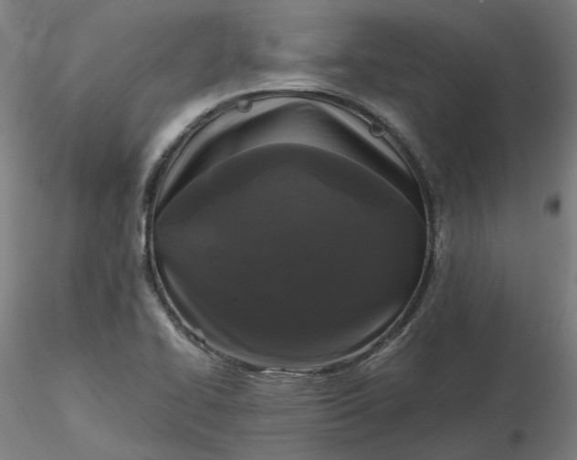 X0000116481414200912231121