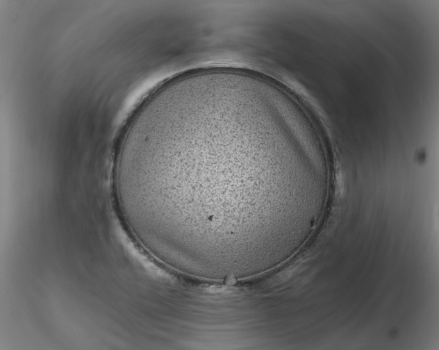 X0000116481416200912231121