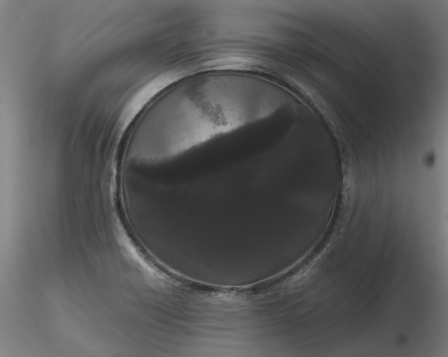 X0000116481418200912231121