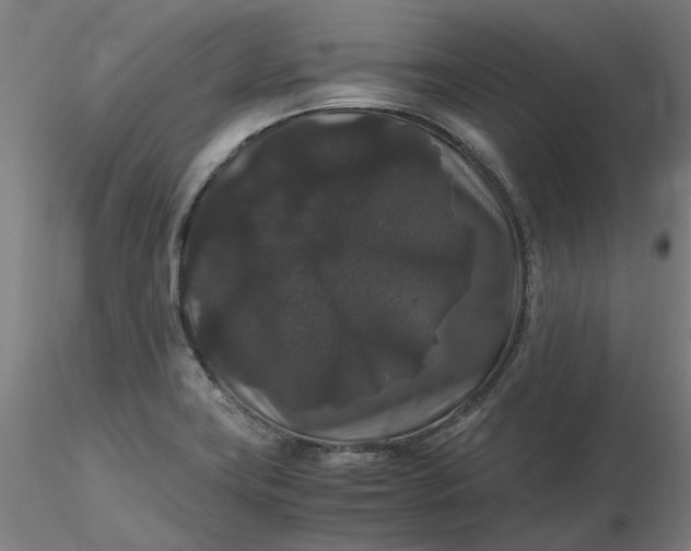 X0000116481419200912231121