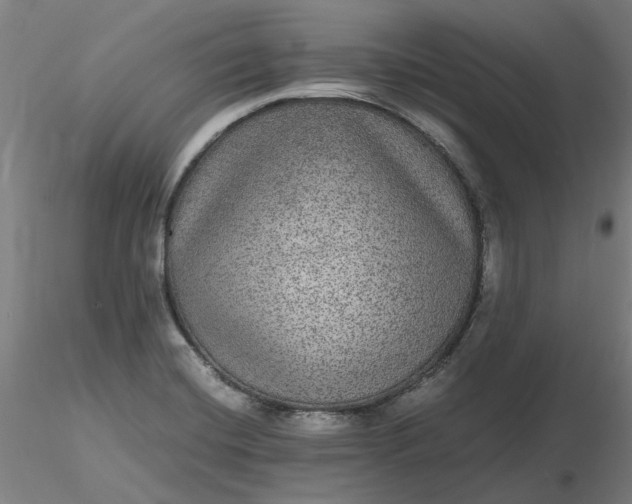 X0000116481420200912231121