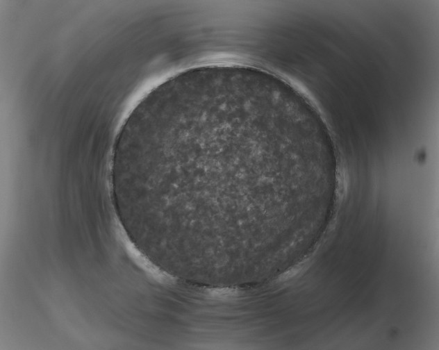 X0000116481421200912231121