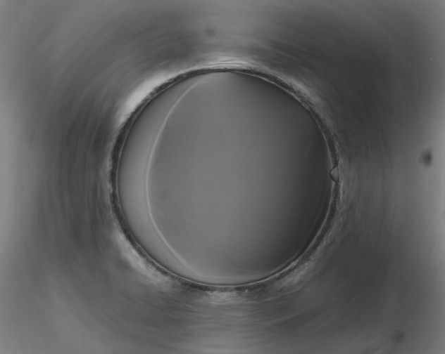 X0000116481422200912231121