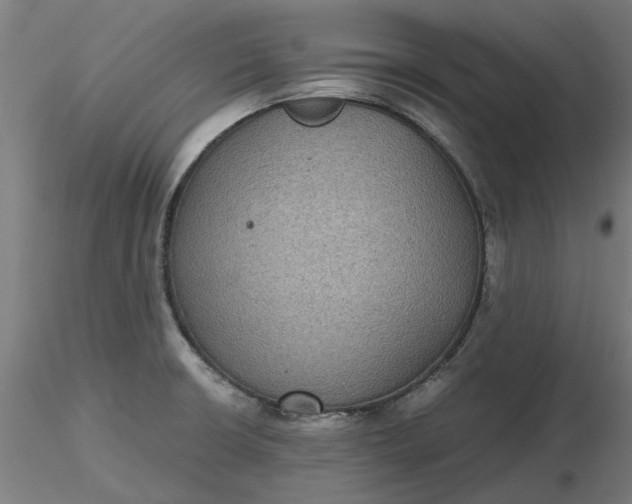 X0000116481426200912231121