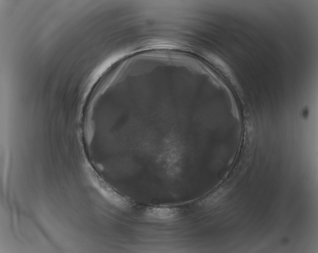 X0000116481427200912231121