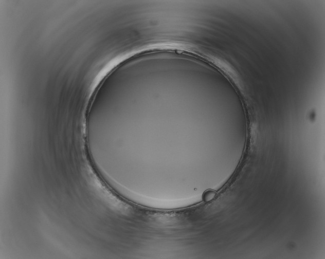 X0000116481428200912231121