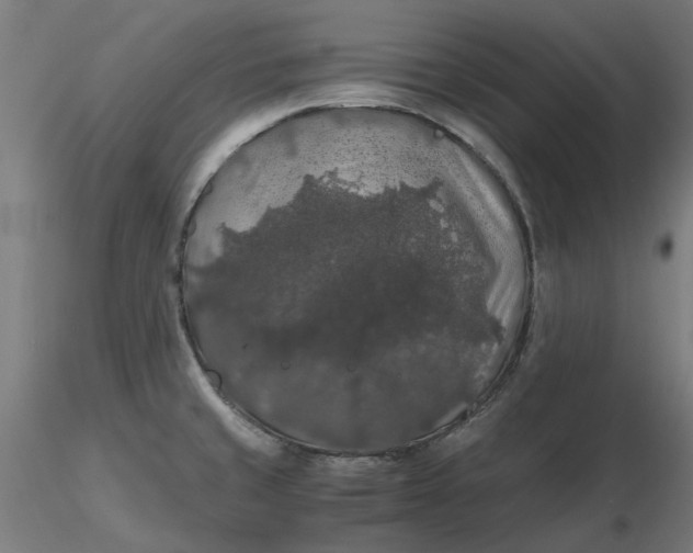 X0000116481429200912231121