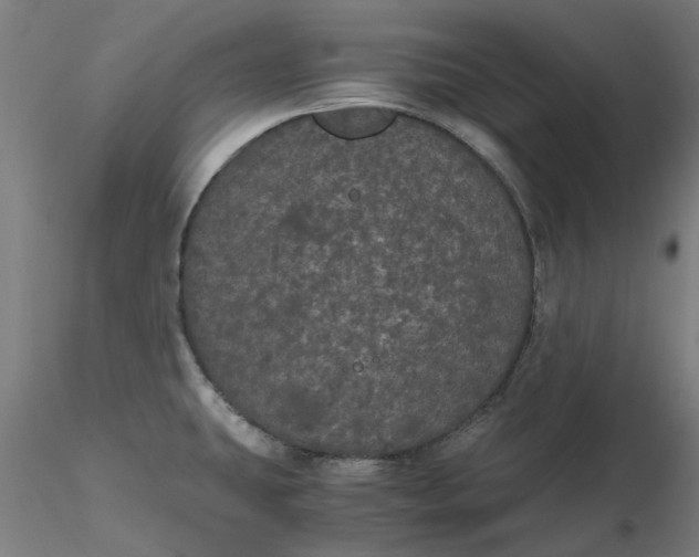 X0000116481431200912231121