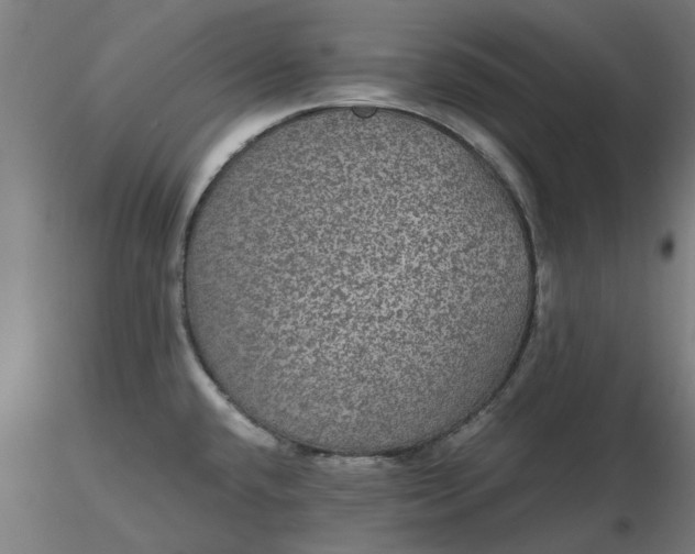 X0000116481432200912231121