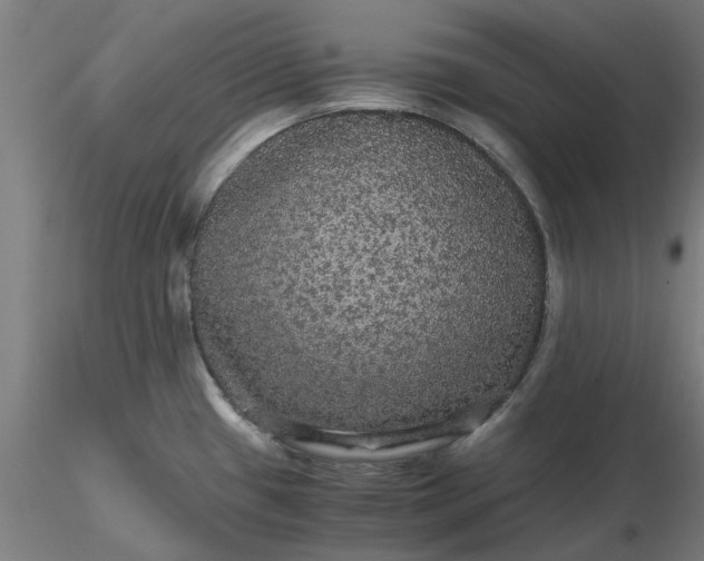 X0000116481433200912231121