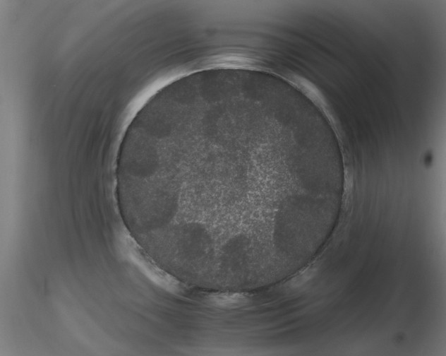 X0000116481435200912231121