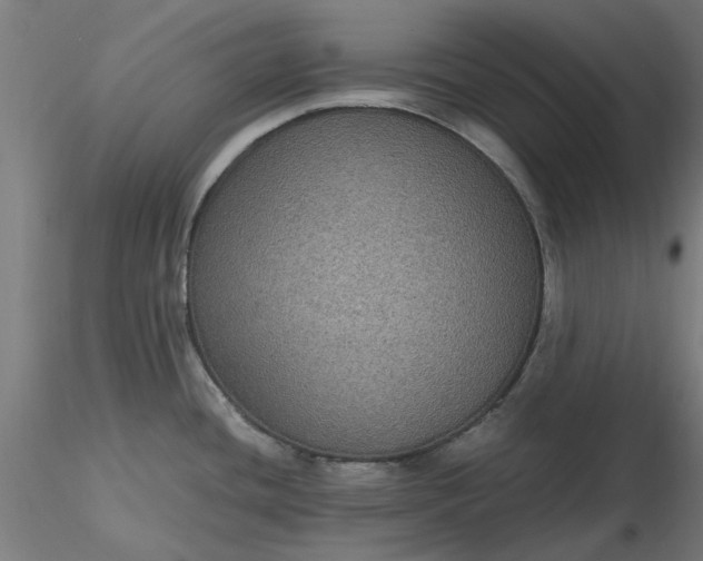 X0000116481436200912231121