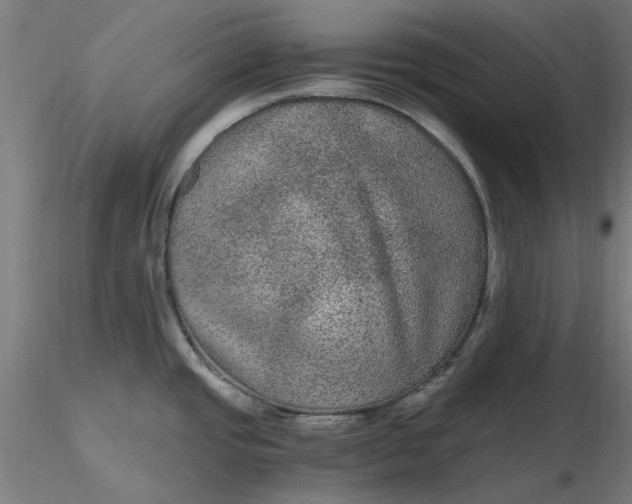 X0000116481437200912231121