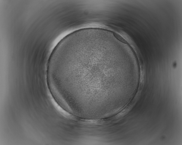 X0000116481438200912231121