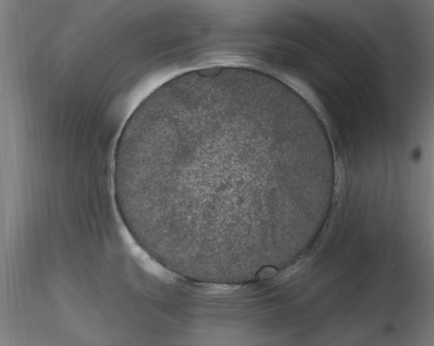 X0000116481439200912231121