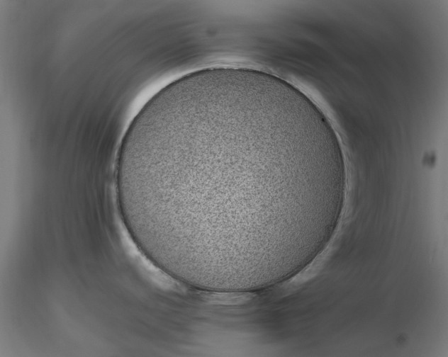 X0000116481440200912231121