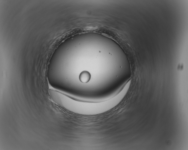 X0000116481441200912231121