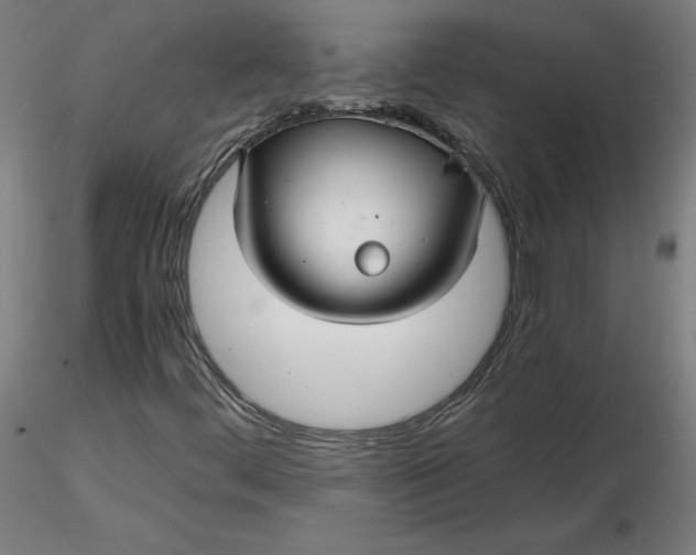 X0000116481444200912231120