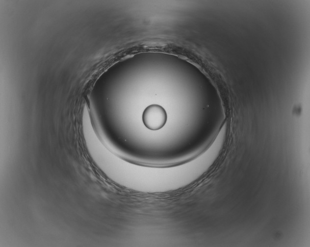 X0000116481445200912231120