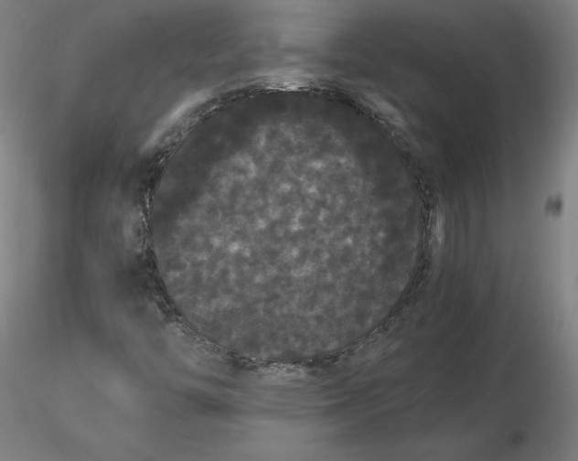 X0000116481446200912231120