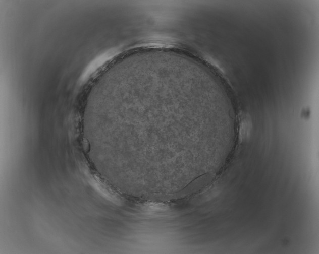 X0000116481448200912231120