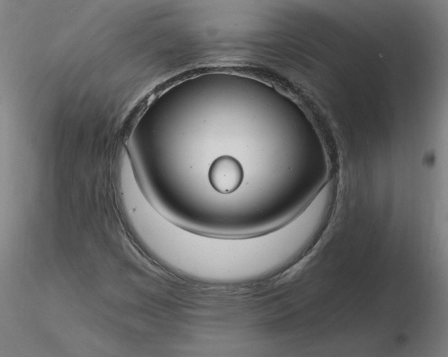 X0000116481449200912231120