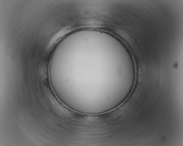 X0000116481451200912231120