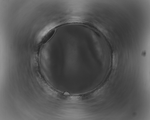 X0000116481453200912231120