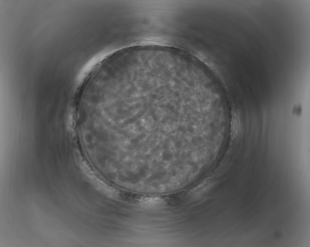 X0000116481454200912231120