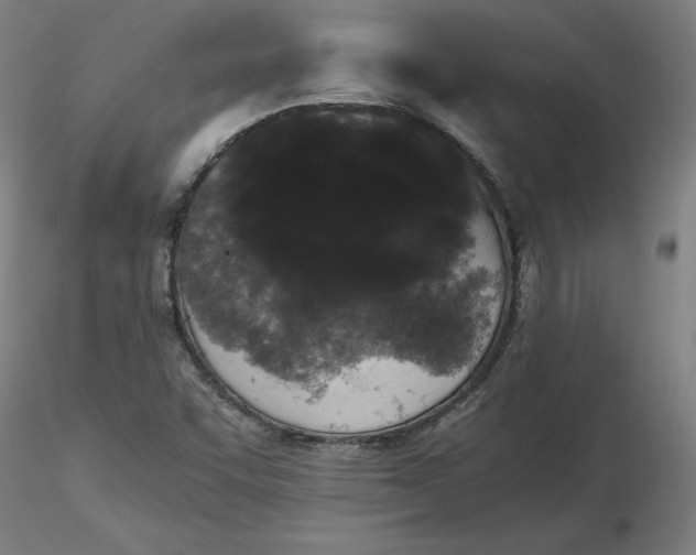 X0000116481455200912231120