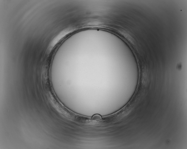 X0000116481458200912231120