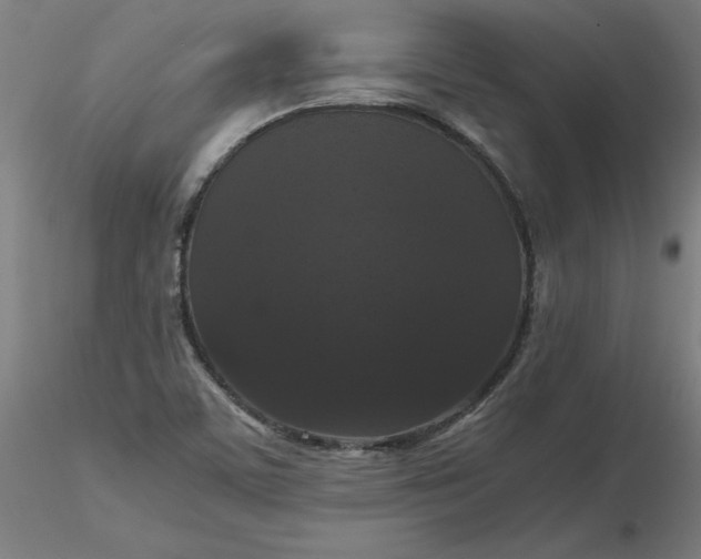 X0000116481459200912231120